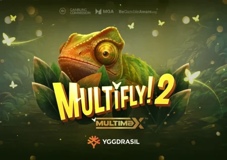 MultiFly! 2 MultiMax™