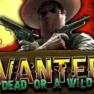 Wanted Dead or a Wild